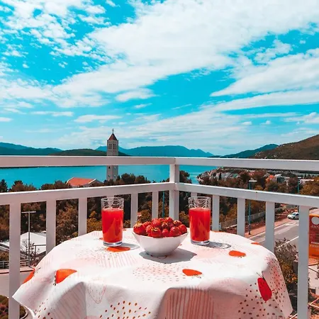 Bacic Guest house