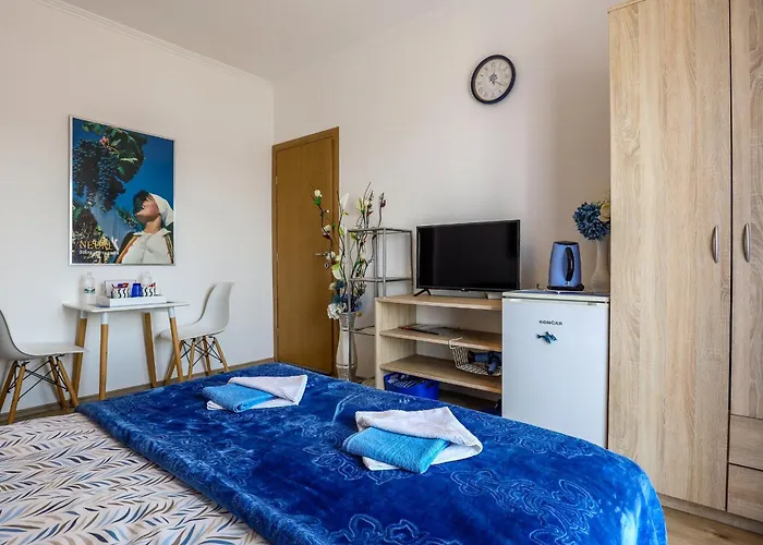 招待所 Bacic 内乌姆